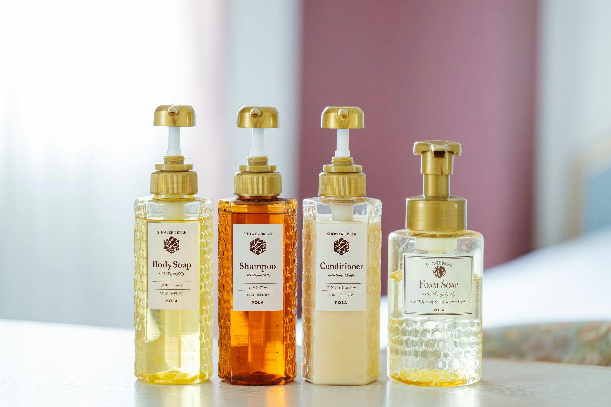 สิ่งอำนวยความสะดวกบนรถบัส