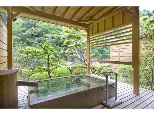 別邸六花露天風呂付き和洋室「連翹」