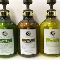 สิ่งอำนวยความสะดวกบนรถบัส