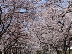 紀州鉄道　伊豆一碧湖ホテル