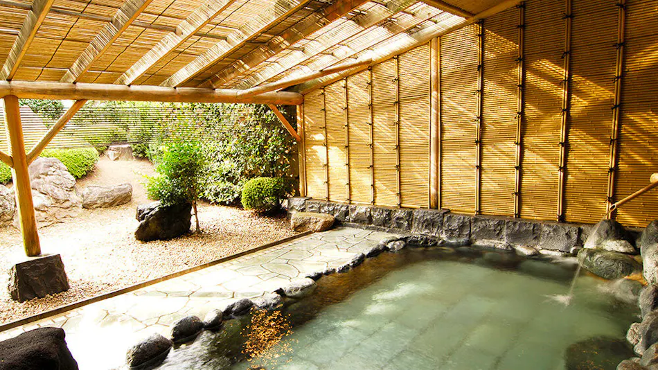 Kasugai View Hotel