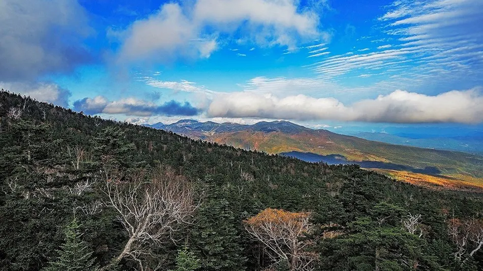 Palcall Tsumagoi Resort Hotel