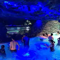 Hawaiians - Akuarium Mengalir