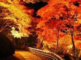 時之栖 伊豆温泉村 ホテルオリーブの木