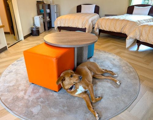 ペットOKのお部屋