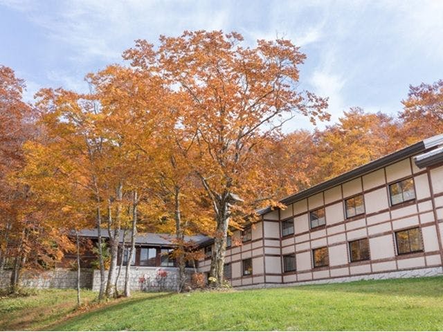 โรงแรมที่ล้อมรอบด้วยป่าบีช.