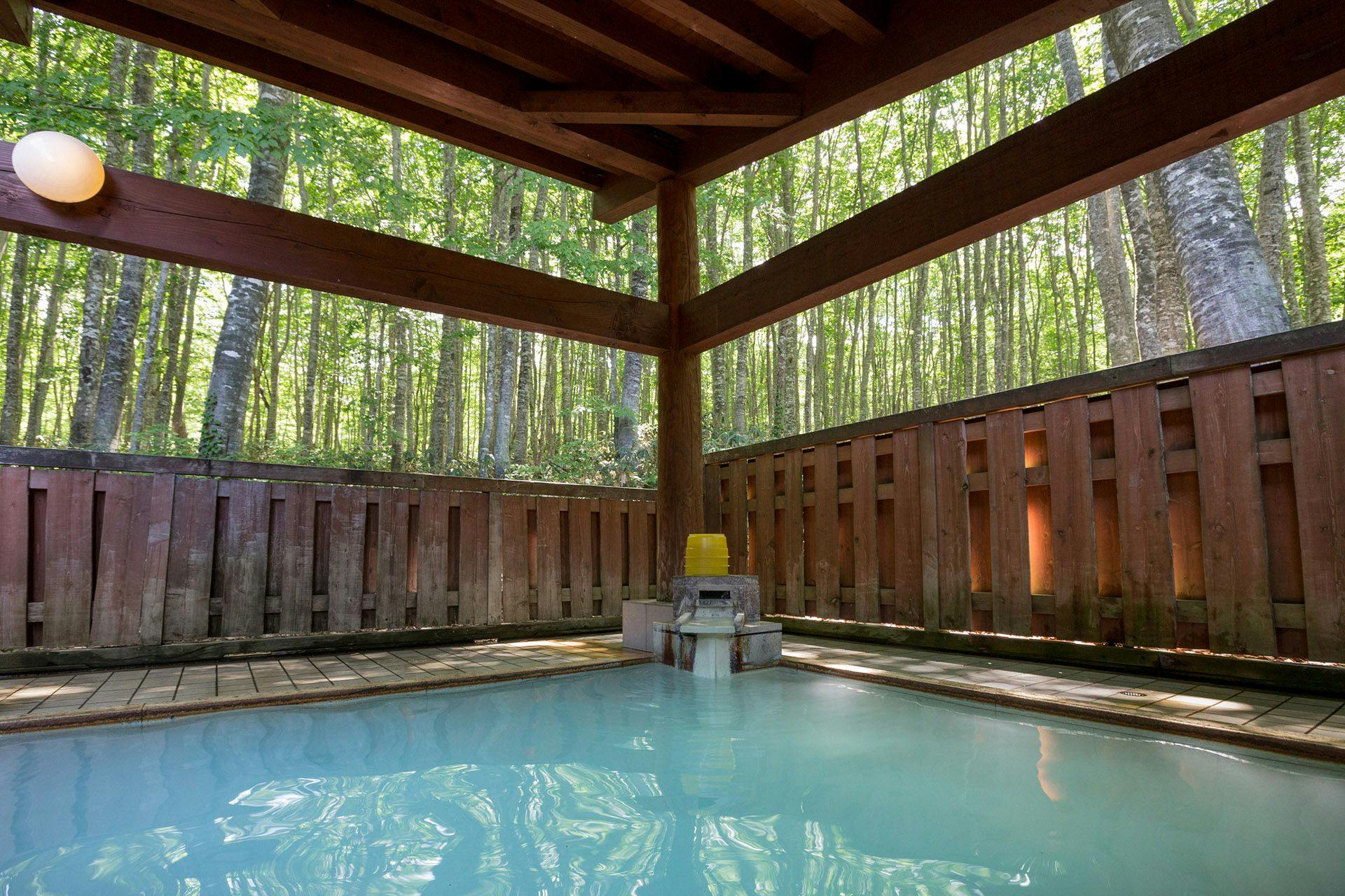 Kyukamura Nyuto Onsenkyo