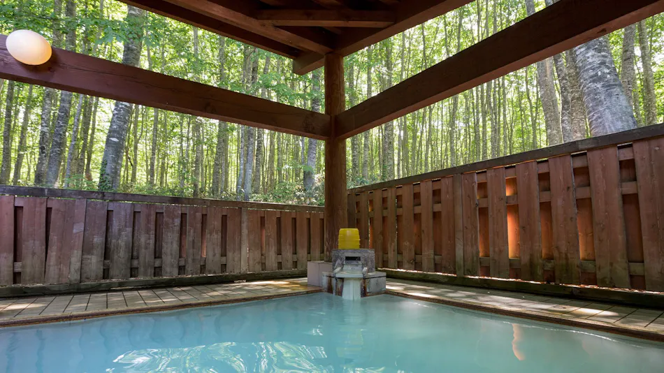 Kyukamura Nyuto Onsenkyo