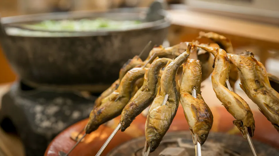 Kyukamura Nyuto Onsenkyo