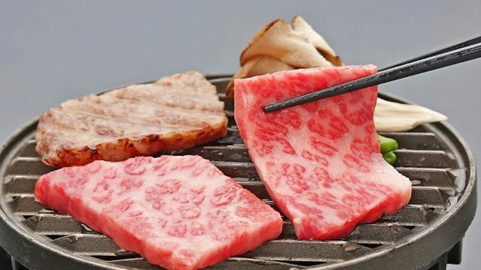 Kyukamura Omi-Hachiman