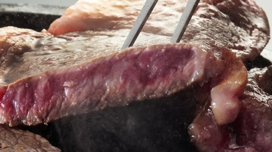 Kyukamura Minami Aso