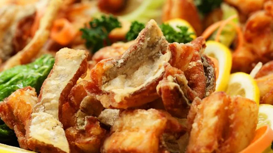 Kyukamura Minami Aso