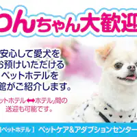 Pusat Perawatan & Adopsi Hewan Peliharaan Nikko