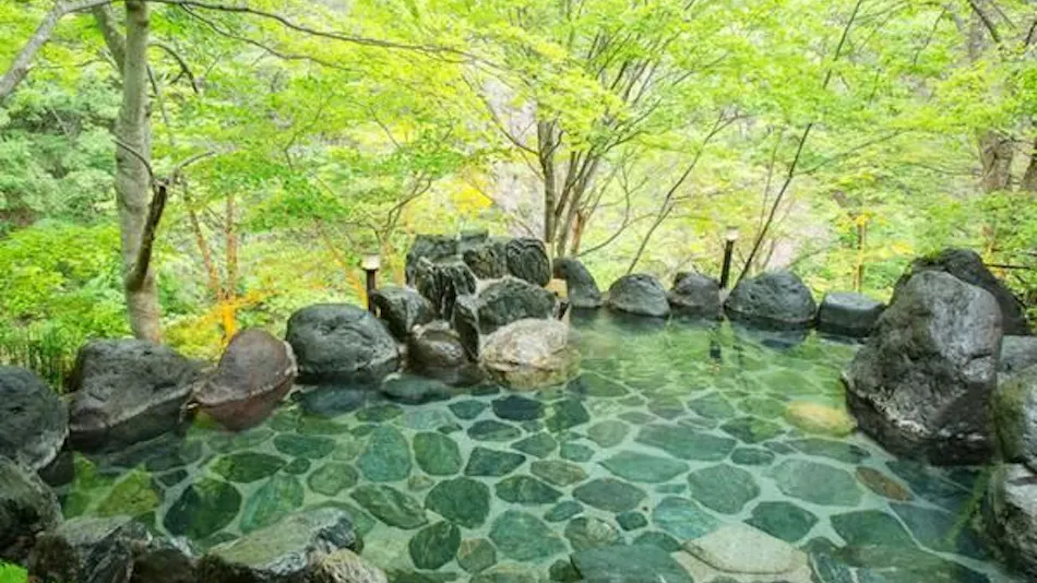 Yunishigawa Onsen Hotel Yunishigawa