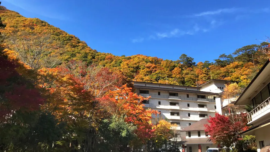 Yunishigawa Onsen Hotel Yunishigawa