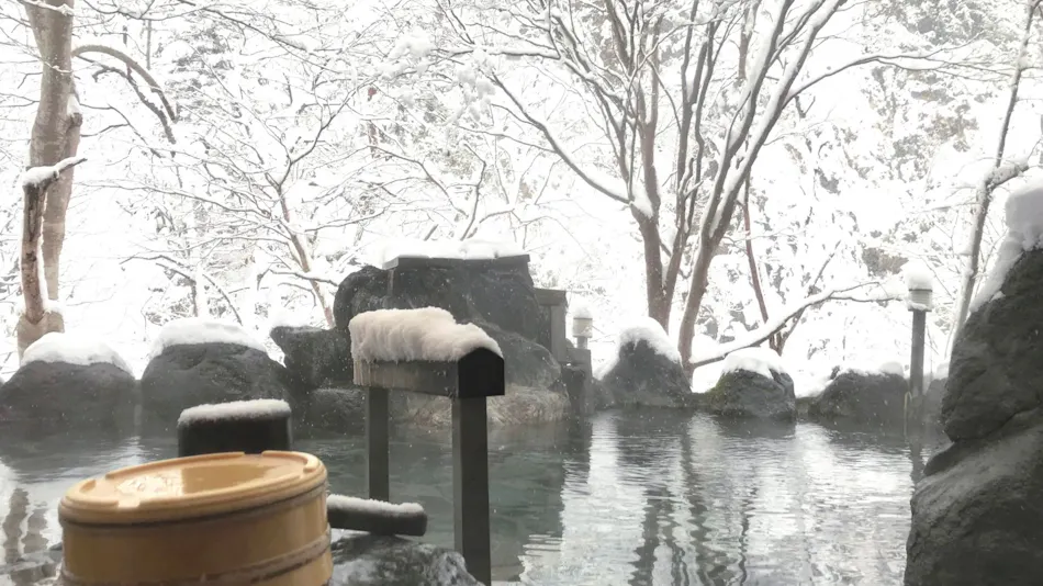 Yunishigawa Onsen Hotel Yunishigawa