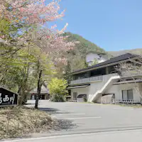 벚꽃