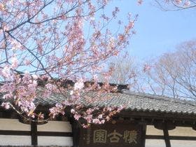 小諸グランドキャッスルホテル