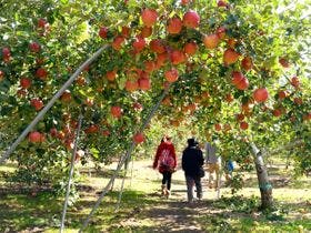 小諸グランドキャッスルホテル