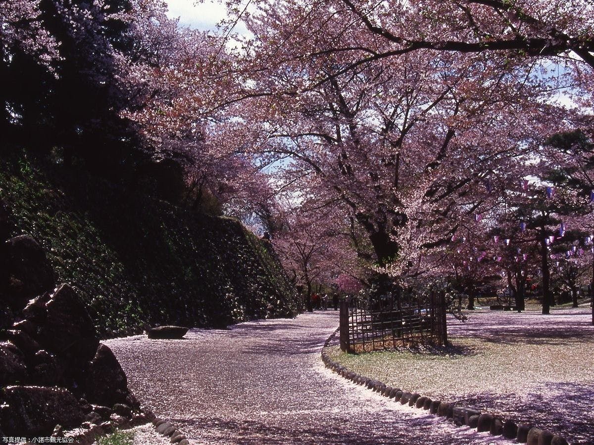 ซากปราสาทโคโมโระ ไคโคเอ็น