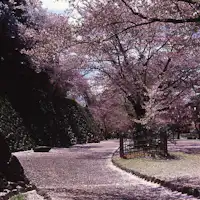 ซากปราสาทโคโมโระ ไคโคเอ็น