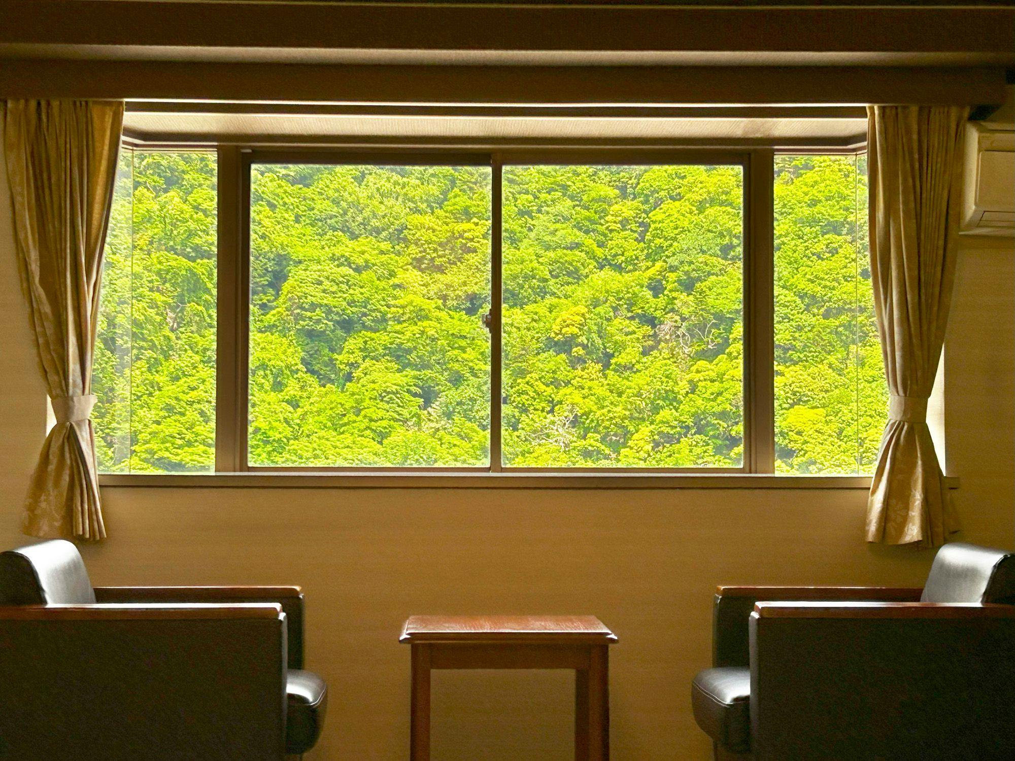 ตัวอย่างวิวห้องพักแบบญี่ปุ่นขนาด 10 เสื่อ ทิศทางฝั่งภูเขา