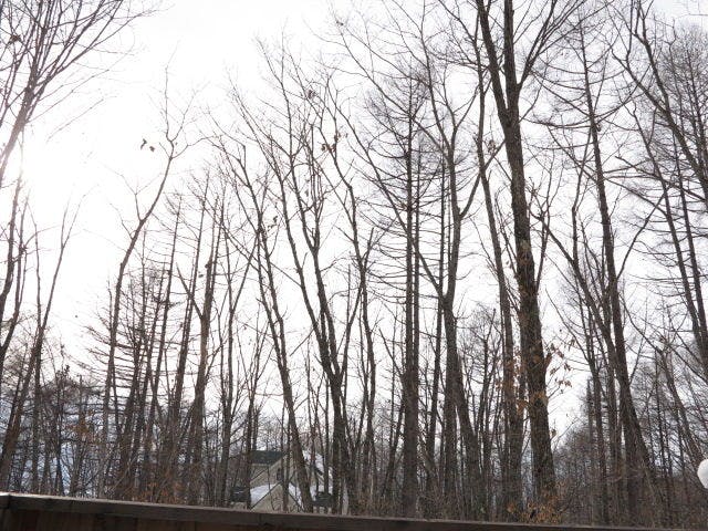 ทิวทัศน์ฤดูหนาวจากน้ำพุร้อนในร่ม