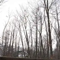 ทิวทัศน์ฤดูหนาวจากน้ำพุร้อนในร่ม