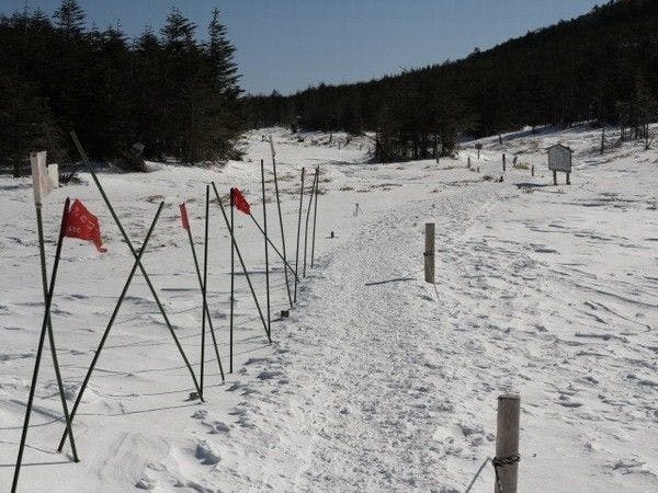 เส้นทางเดินหิมะที่มีธงสีแดงเป็นสัญลักษณ์