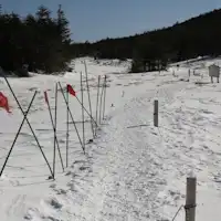 เส้นทางเดินหิมะที่มีธงสีแดงเป็นสัญลักษณ์