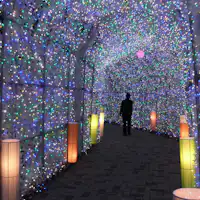 Acara Musim Dingin: Iluminasi di depan hotel.