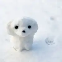 【Bersama Anjing Tercinta】