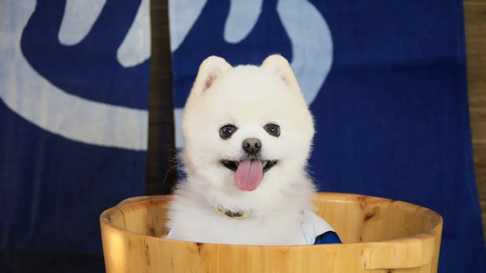 Yutorelo Toyako