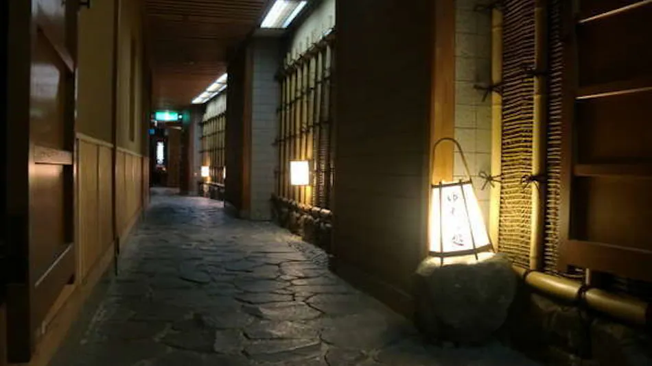 Nara Park Hotel