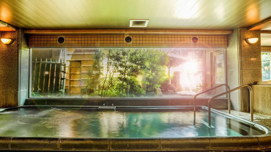 Nara Park Hotel