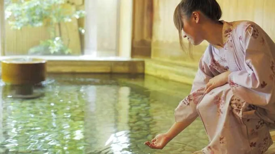 Onsen Meisou Club Fujiya Ryokan