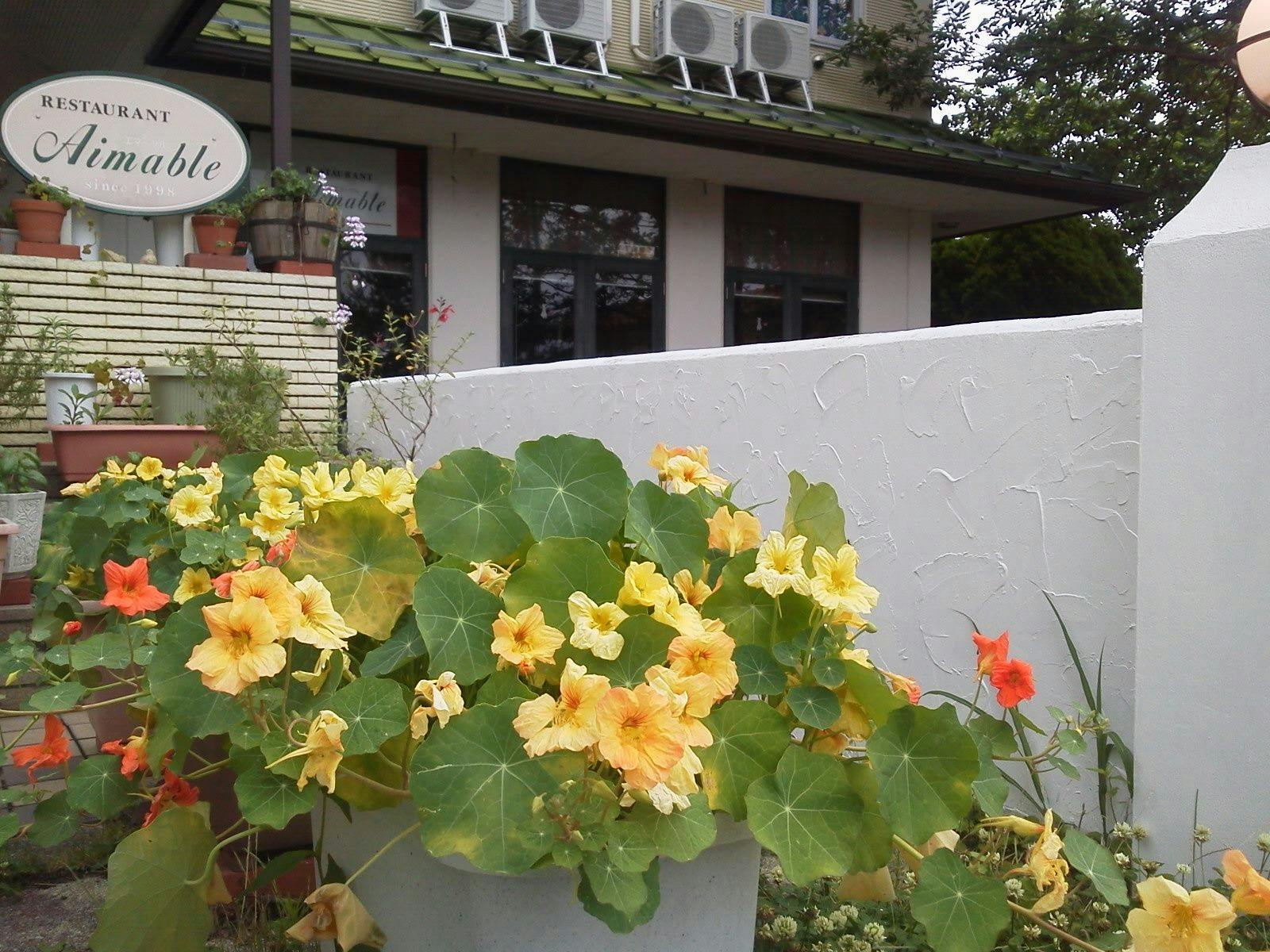 ดอกไม้และสมุนไพรตามฤดูกาลยินดีต้อนรับคุณ