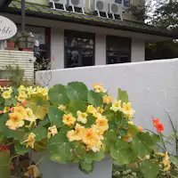 ดอกไม้และสมุนไพรตามฤดูกาลยินดีต้อนรับคุณ