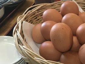 さぬきグリーンホテル