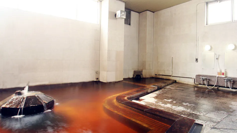 Kofu Showa Onsen Business Hotel