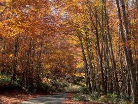 プラザホテル山麓荘