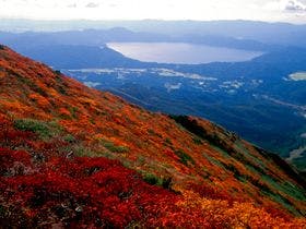 プラザホテル山麓荘