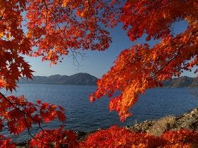 プラザホテル山麓荘