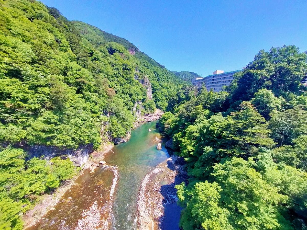 Livemax Resort Kawaji