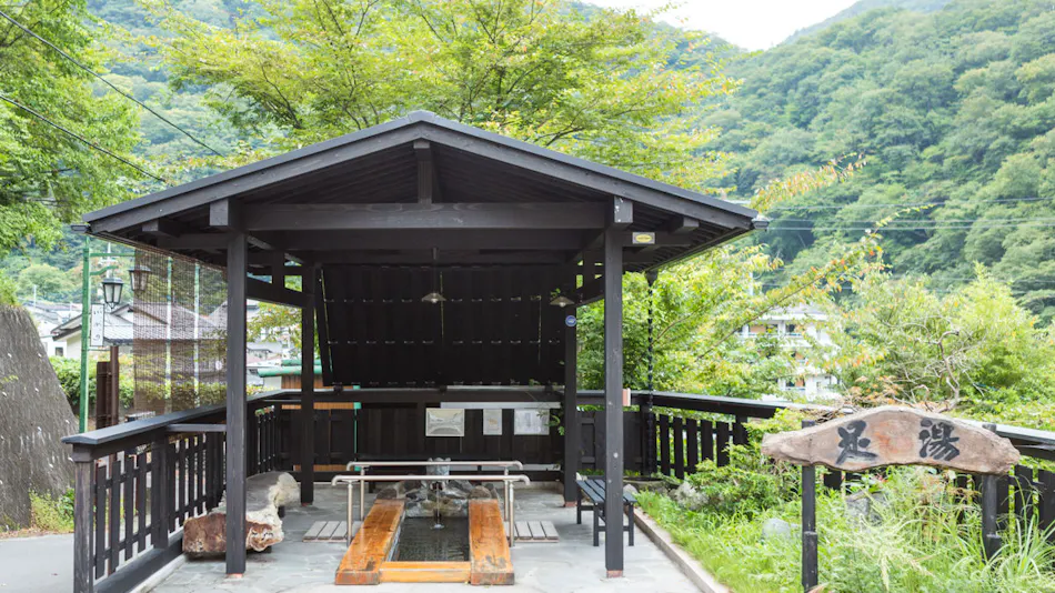 Livemax Resort Kawaji