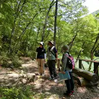 川治温泉小镇漫步之旅