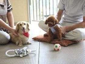 熱海伊豆山温泉 ラビスタ伊豆山