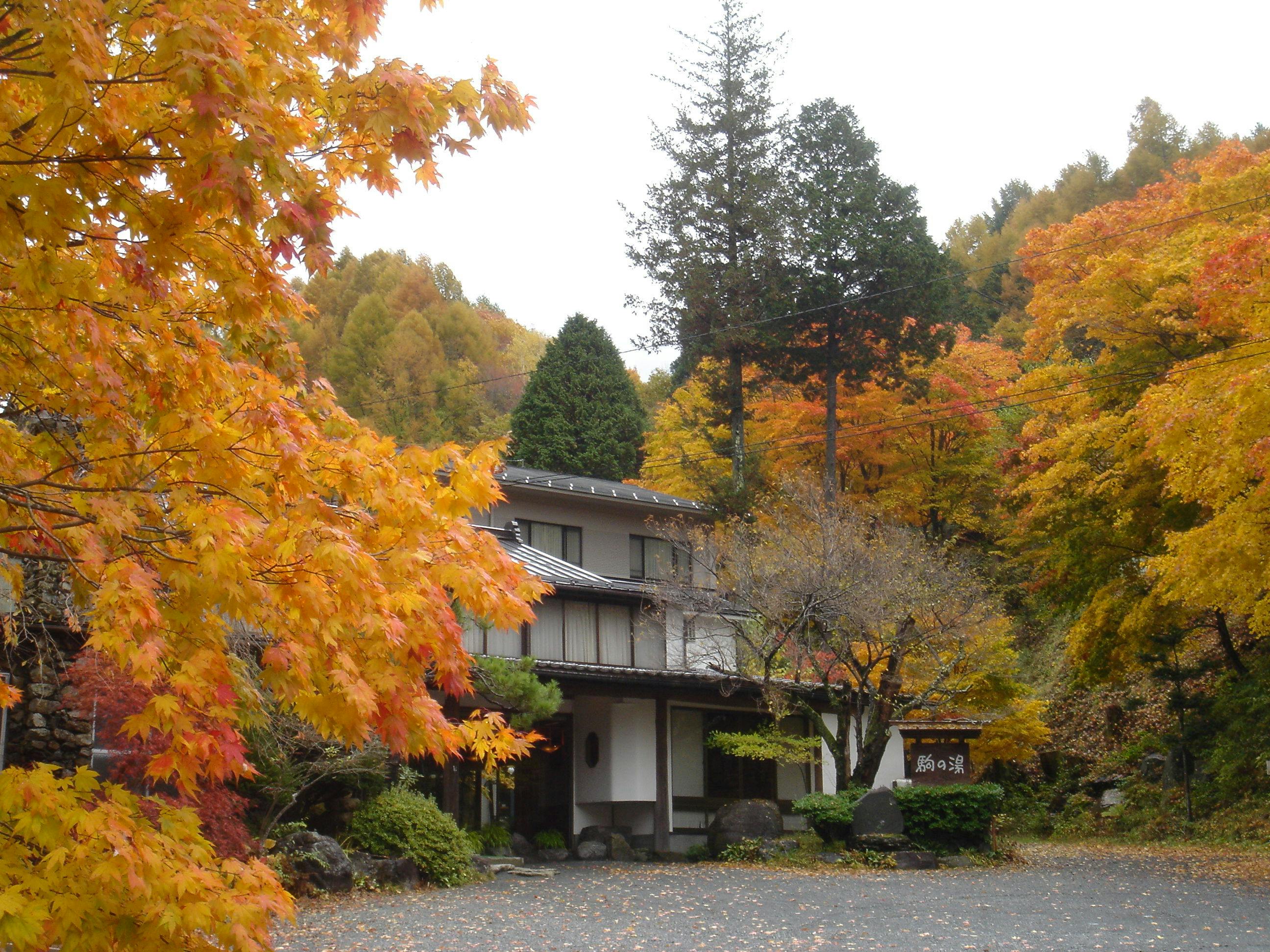 Kisokoma no Yu Onsen - Nukomori no Yado Komano-yu