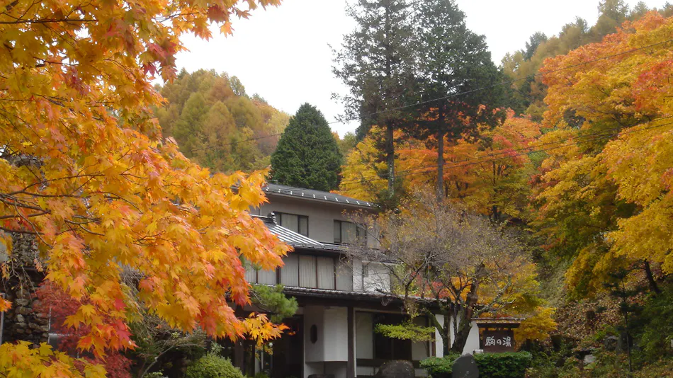 Kisokoma no Yu Onsen - Nukomori no Yado Komano-yu