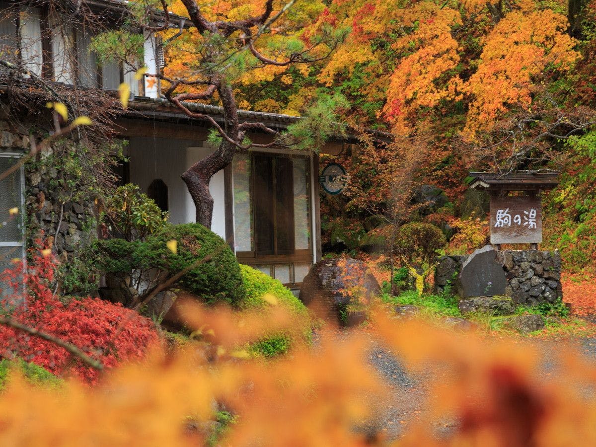 Kisokoma no Yu Onsen - Nukomori no Yado Komano-yu
